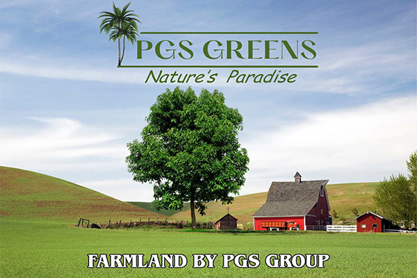 psg greens farms